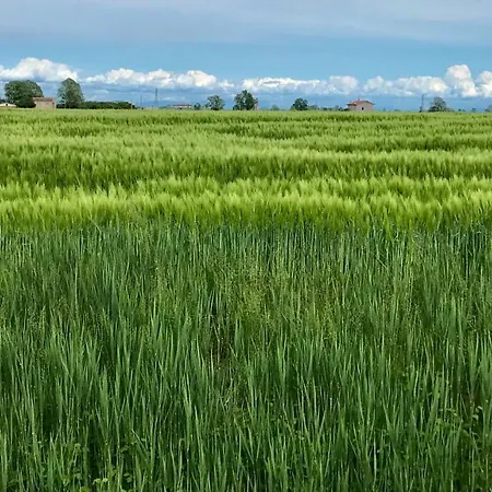Lantgård Casale Ai Prati Latisana